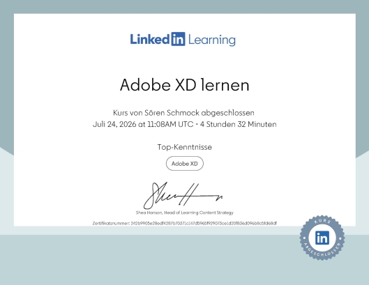 Adobe XD lernen